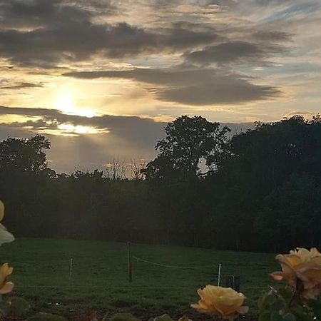 Modern Countryside Apartment Killmallock Lodge Enniscorthy Ngoại thất bức ảnh