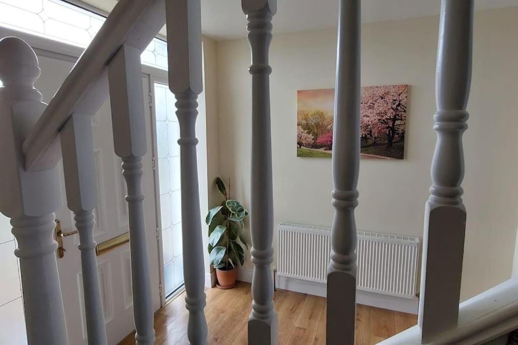 Modern Countryside Apartment Killmallock Lodge Enniscorthy Ngoại thất bức ảnh